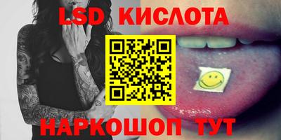 прущие грибы Можга