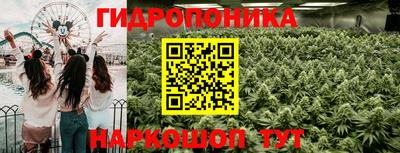 прущие грибы Можга