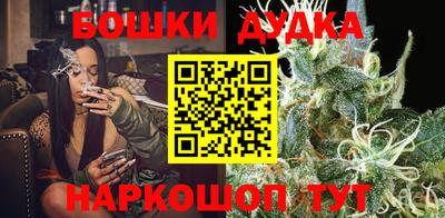 прущие грибы Можга