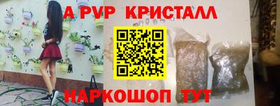 прущие грибы Можга