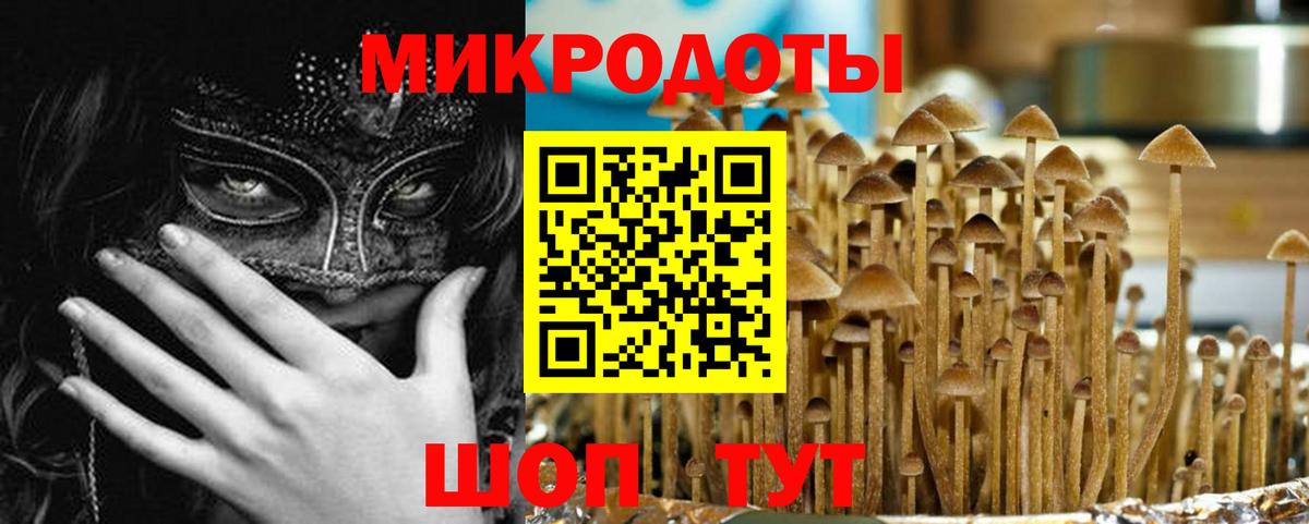 Псилоцибиновые грибы GOLDEN TEACHER  Вход с VPN  Галлюциногенные грибы Psilocybine cubensis  купить   Тосно 